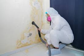 Best Emergency Mold Remediation  in Woodlynne, NJ